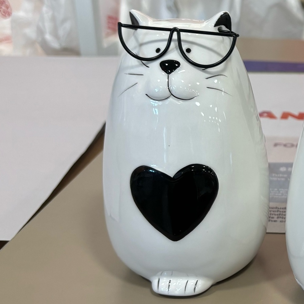 Cat for Noelle
